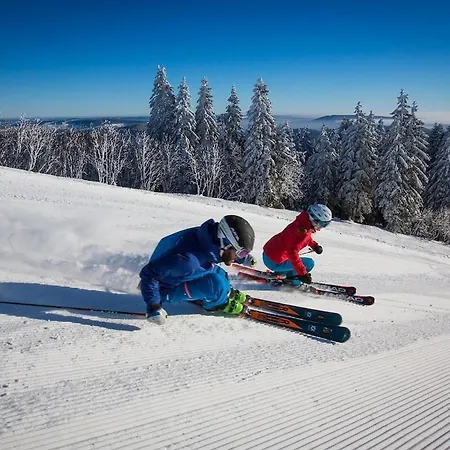 - Black4rest Biber - Appartement Titisee-Neustadt