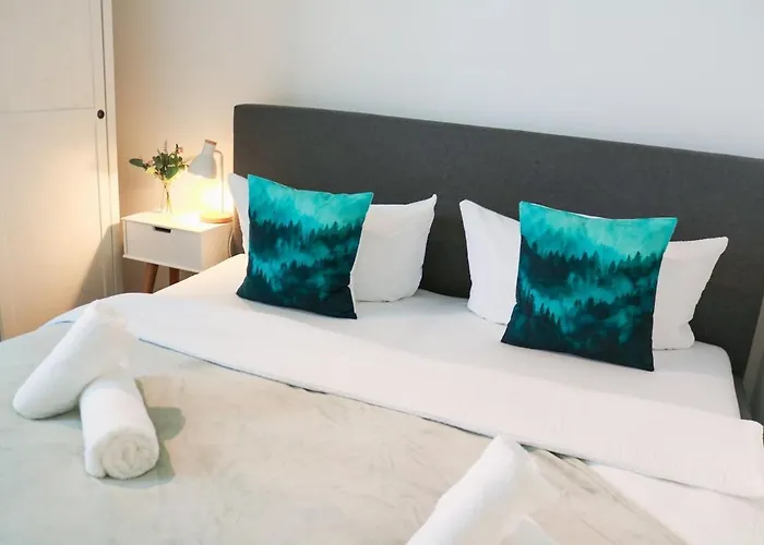 アパート - Black4rest Biber - ティティゼー・ノイシュタット