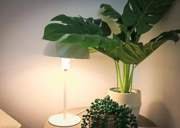 アパート - Black4rest Biber -