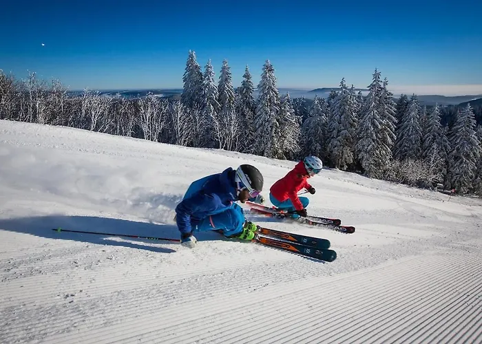 - Black4rest Biber - アパート ティティゼー・ノイシュタット