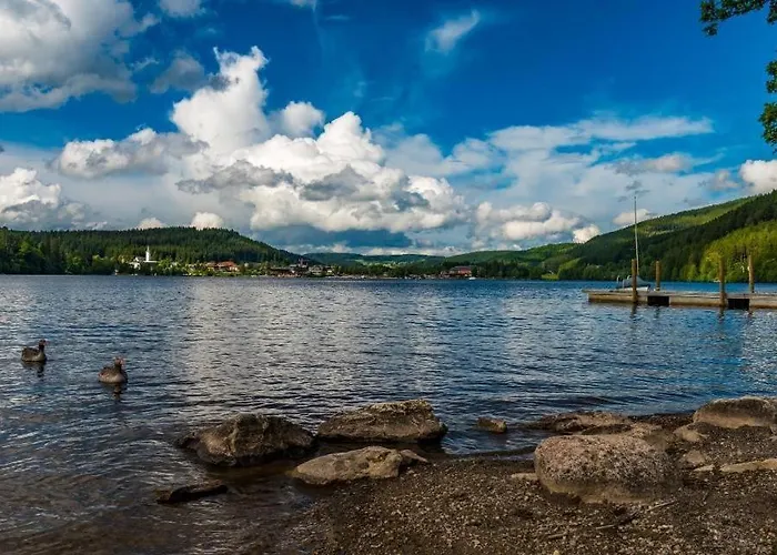 - Black4rest Biber - ティティゼー・ノイシュタット